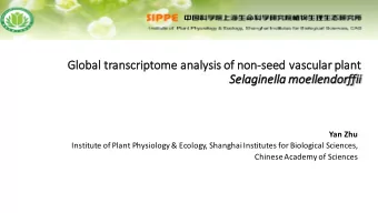 Gl  Global transcriptome analysis of non-se  seed vasc  scular plant  Se  Selaginella moe