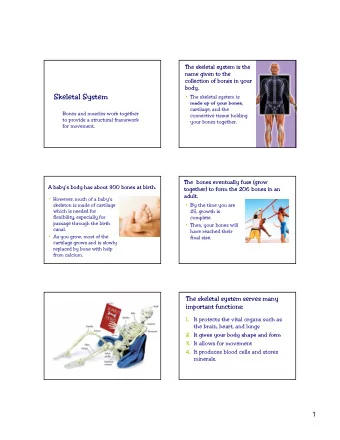 Skeletal System   The skeletal system is  made up of your bones  made up of your bones,