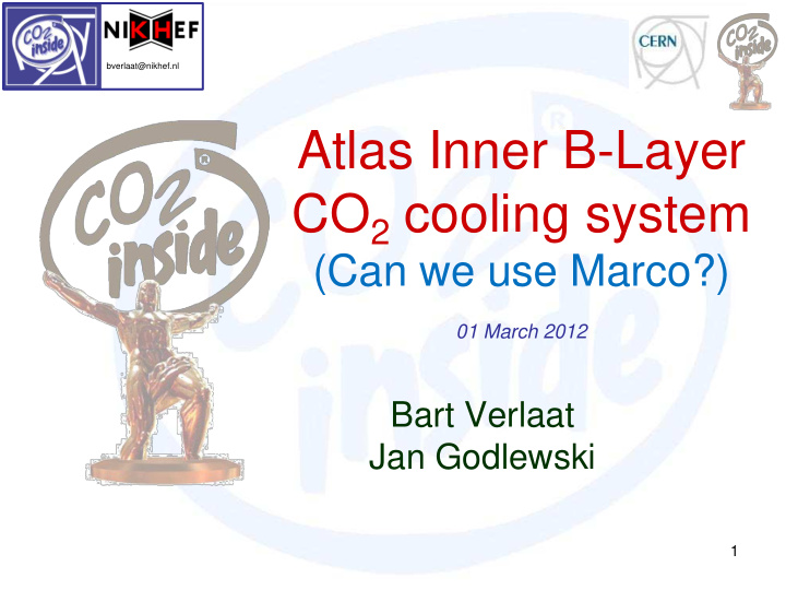 atlas inner b layer co 2 cooling system