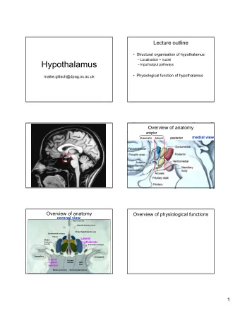 Hypothalamus   Input/output pathways   Physiological function of hypothalamus