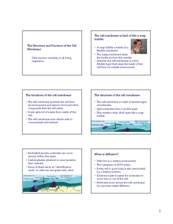1  How diffusion works in a cell  Diffusion is the movement of  In order for diffusion to occur,