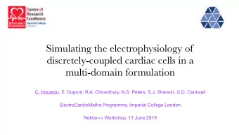 Simulating the electrophysiology of  discretely-coupled cardiac cells in a  multi-domain