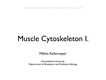 Muscle Cytoskeleton I.  Mikls Kellermayer  Semmelweis University  Department of Biophysics and