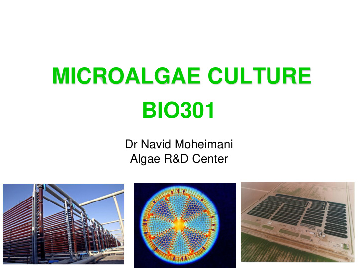 microalgae culture bio301