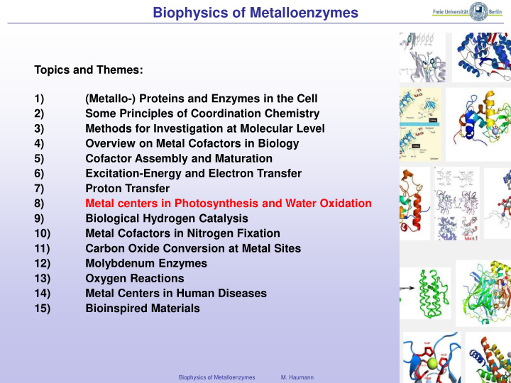 biophysics of metalloenzymes
