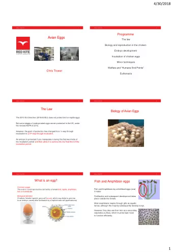 4/30/2018  Monday, 30 April 2018  1  Monday, 30 April 2018  2  Programme  Avian Eggs  The law