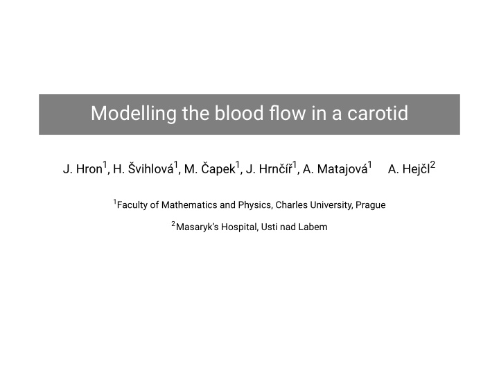 modelling the blood flow in a carotid