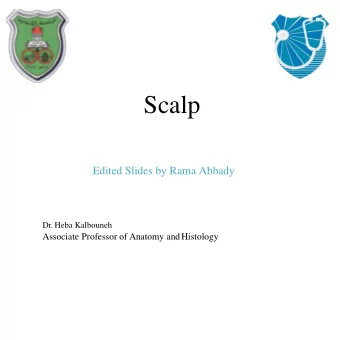 Scalp  Edited Slides by Rama Abbady  Dr. Heba Kalbouneh  Associate Professor of Anatomy