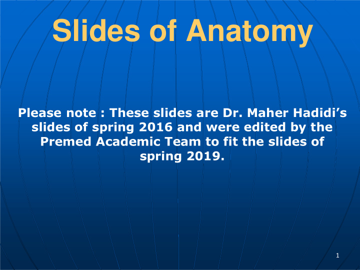 slides of anatomy