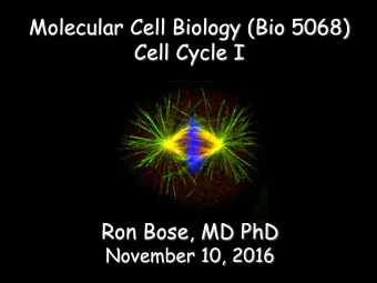 Molecular Cell Biology (Bio 5068)  Cell Cycle I  Ron Bose, MD PhD November 10, 2016  CELL DIVISION