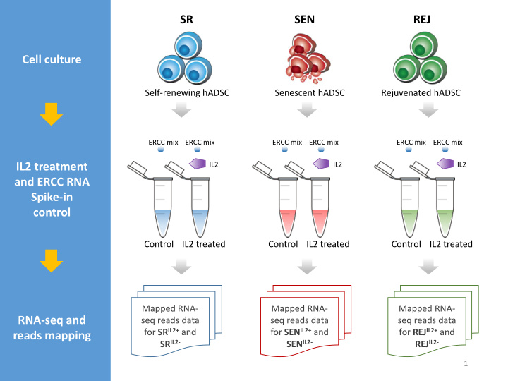 and ercc rna