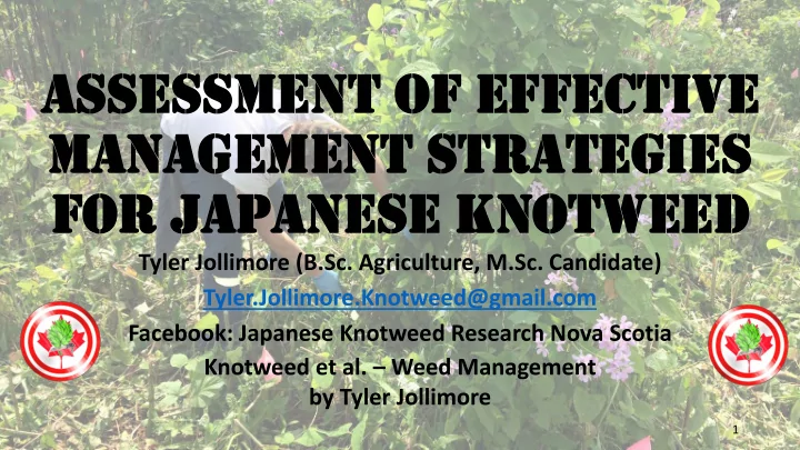 assessment of effective management strategies for