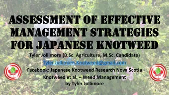 Assessment of effective  mAnAgement strAtegies  for JApAnese knotweed  Tyler Jollimore (B.Sc.