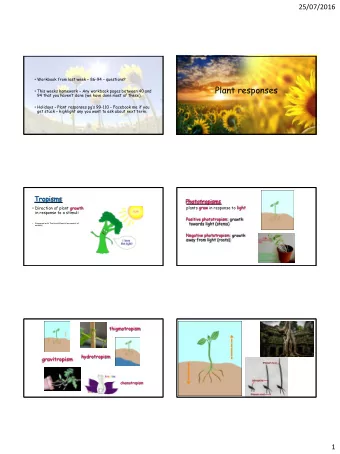 Plant responses  This weeks homework  Any workbook pages between 40 and  94 that you