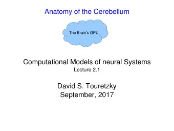 Anatomy of the Cerebellum  The Brain's GPU  Computational Models of neural Systems  Lecture 2.1