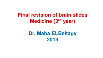 Final revision of brain slides Medicine (3 rd year)  Dr. Maha ELBeltagy  2019  Lateral surface of