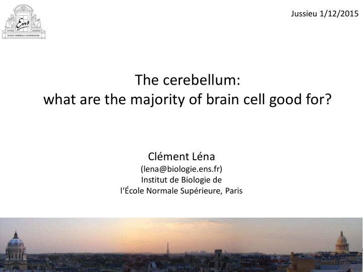 what are the majority of brain cell good for