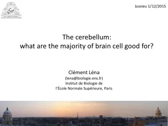 what are the majority of brain cell good for?  Clment Lna  (lena@biologie.ens.fr)  Institut de