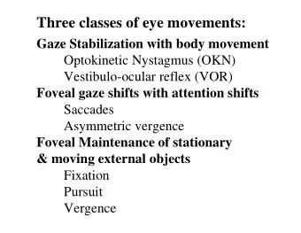 Three classes of eye movements:  Gaze Stabilization with body movement  Optokinetic Nystagmus (OKN)