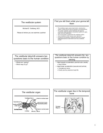 First you tell them what your gonna tell  The vestibular system  them   The vestibular organs