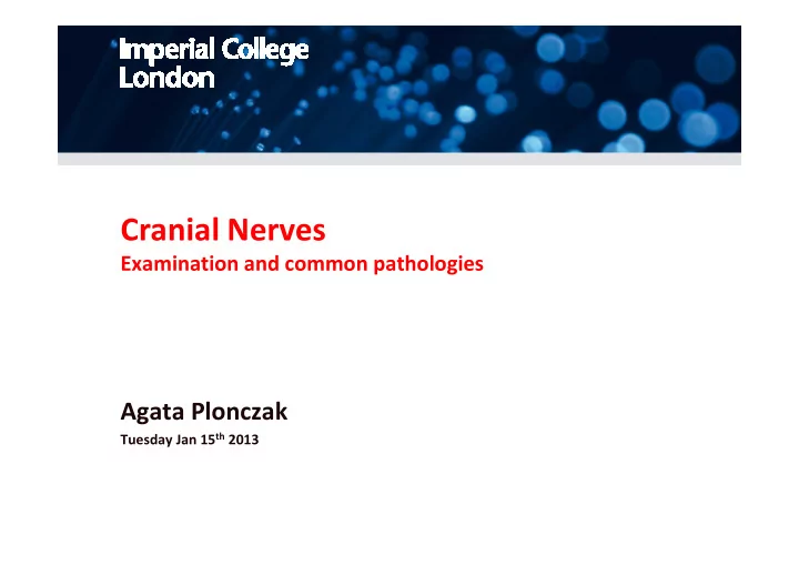 cranial nerves