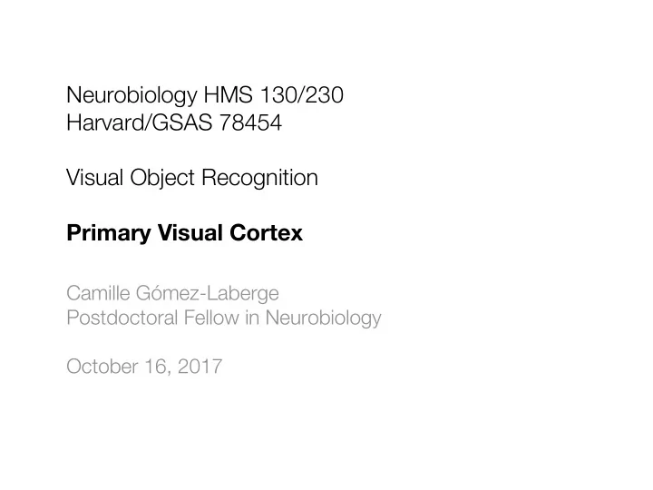 neurobiology hms 130 230 harvard gsas 78454 visual object