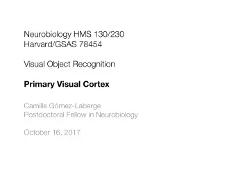 Neurobiology HMS 130/230  Harvard/GSAS 78454  Visual Object Recognition  Primary Visual Cortex
