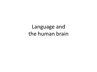 Language and  the human brain  Brain and Language  What will be covered?  A brief survey of