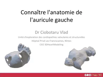 Connatre l'anatomie de  l'auricule gauche  Dr Ciobotaru Vlad  Unit dexploration des