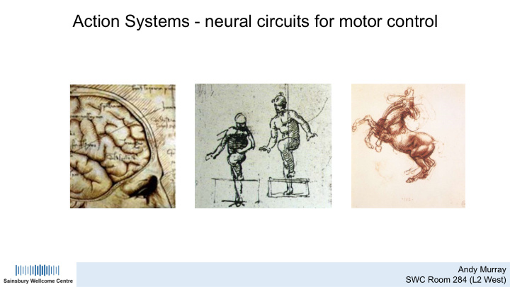 action systems neural circuits for motor control