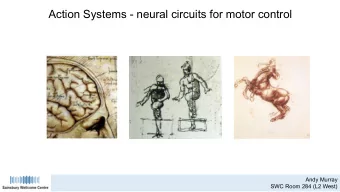 Action Systems - neural circuits for motor control  Andy Murray  SWC Room 284 (L2 West)  Lecture