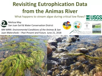 Revisiting Eutrophication Data  from the Animas River  What happens to stream algae during critical
