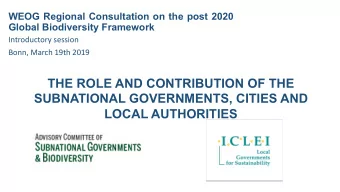 THE ROLE AND CONTRIBUTION OF THE  SUBNATIONAL GOVERNMENTS, CITIES AND  LOCAL AUTHORITIES  [AC SNG