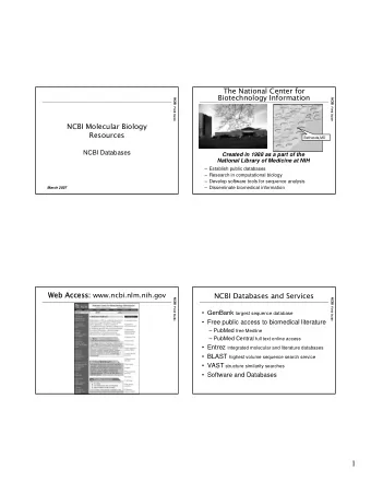 1  Types of Databases  Entrez Nucleotides NCBI Field Guide NCBI Field Guide  Primary   Primary