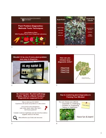 Have fun &amp; learn!  Make effective use of tools and resources  snowberry insect galls  3  6  1