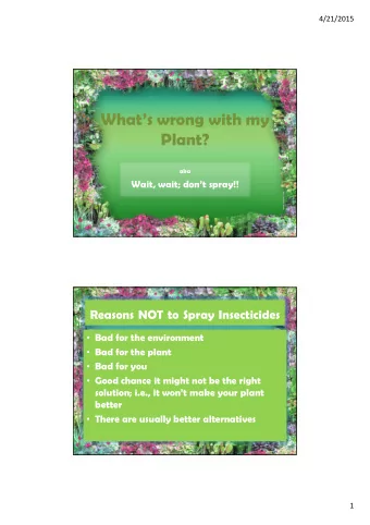 Whats wrong with my  Plant?  aka  Wait, wait; dont spray!!  Reasons NOT to Spray Insecticides