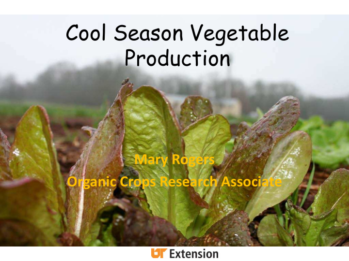 cool season vegetable production