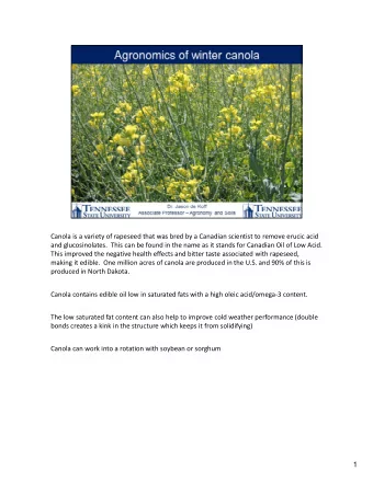 Canola is a variety of rapeseed that was bred by a Canadian scientist to remove erucic acid and