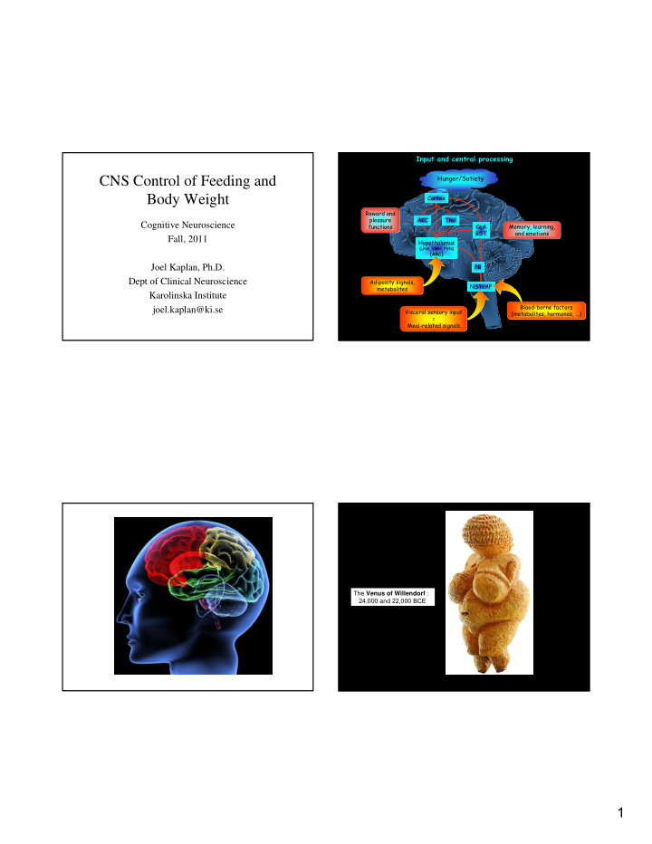 cns control of feeding and body weight