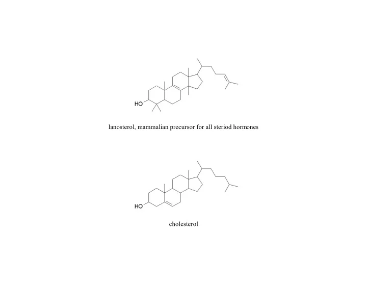 lanosterol mammalian precursor for all steriod hormones