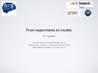 From experiments to models  R.C. Lambert  Neuronal networks and physiopathological rhythms