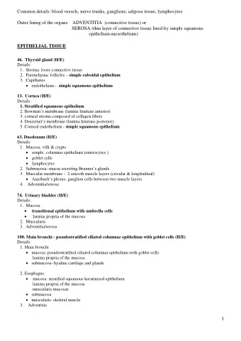 EPITHELIAL TISSUE  46.  Thyroid gland (H/E)  Details: 1. Stroma: loose connective tissue 2.