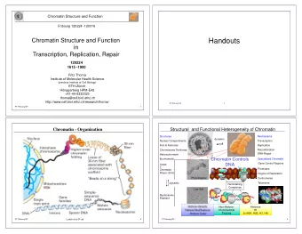 Handouts  Chromatin Structure and Function  in  Transcription, Replication, Repair  120224  1615