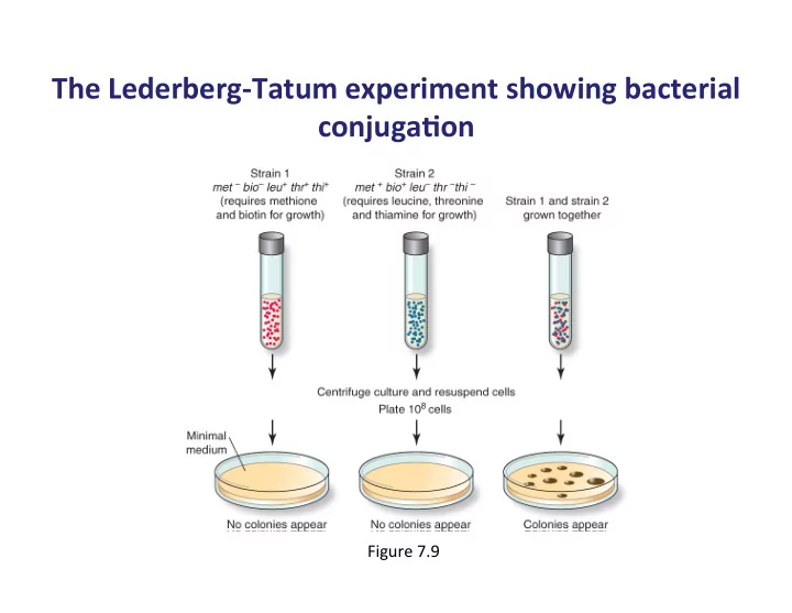 the lederberg tatum experiment showing bacterial