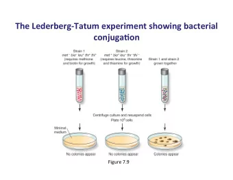 The  Lederberg-Tatum  experiment  showing  bacterial    conjuga9on