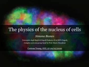 The physics of the nucleus of cells  Simona Bianco  Universit degli Studi di Napoli Federico II