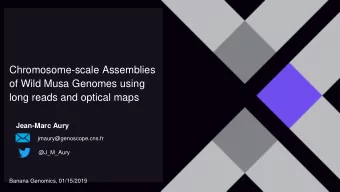 Chromosome-scale Assemblies  of Wild Musa Genomes using  long reads and optical maps  Jean-Marc
