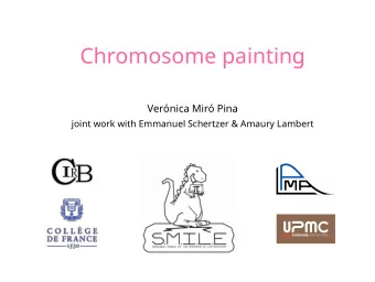 Chromosome painting  Vernica Mir Pina  joint work with Emmanuel Schertzer &amp; Amaury Lambert