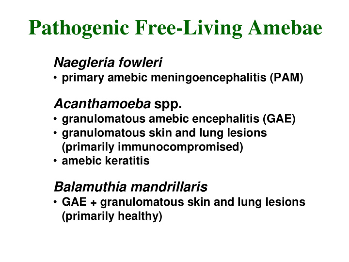 pathogenic free living amebae
