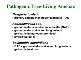 Pathogenic Free-Living Amebae  Naegleria fowleri  primary amebic meningoencephalitis (PAM)